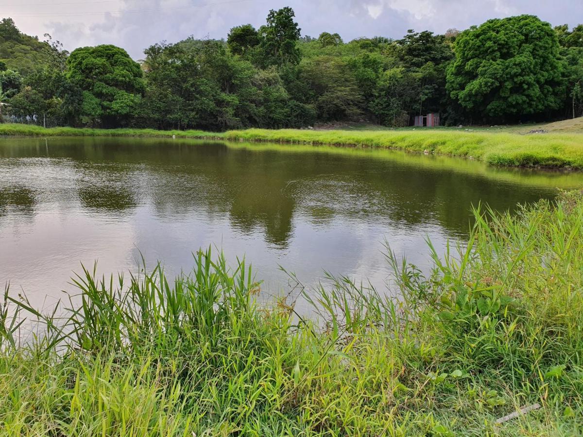 Villa Aichy Rabi Esterno foto